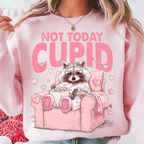 Sarcastic Raccoon Valentines Shirt Feral Valentine Day Shirt Funny Raccoon Shirt Sublimation Cute Feral Raccoon Shirt 1766560545234.png