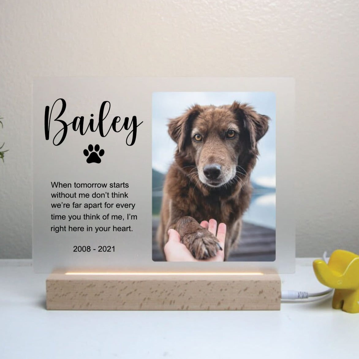 Pet Memorial Custom Photo LED Wooden Base, Pet Sympathy Gift, Personalized Gifts for Pet Loss 1_b4712748-3bfc-45b1-a570-72af18b7b888.jpg