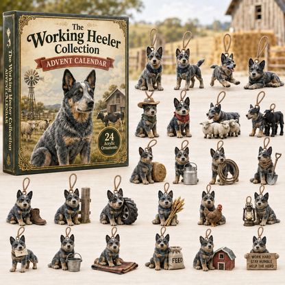 Working Heeler Collection Advent Calendar 2026 - 24-Day Festive Countdown, Acrylic Charms Blind Box - Gift For Dog Lovers 21eaba52-363b-44db-94bf-4db1e68372af-heeler-box-charms.png