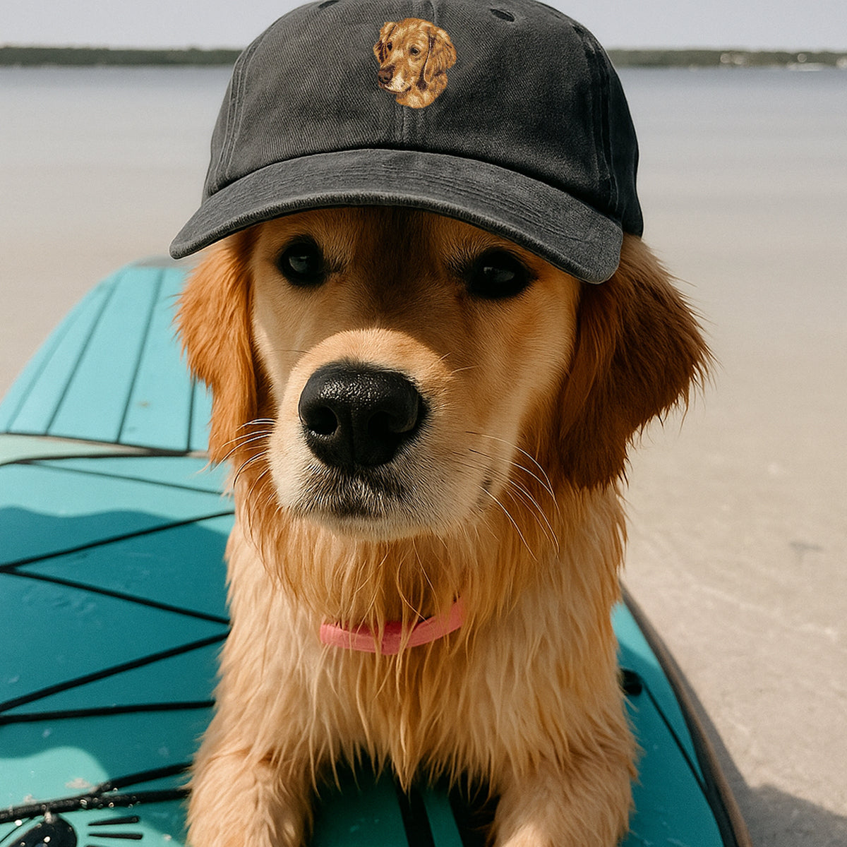 Custom Pet Embroidered Hat, Personalized Pet Hat, Custom Dog Baseball Cap, Christmas Gift For Her, Cat Hat For Cat Mom, Gift for Dog Lovers