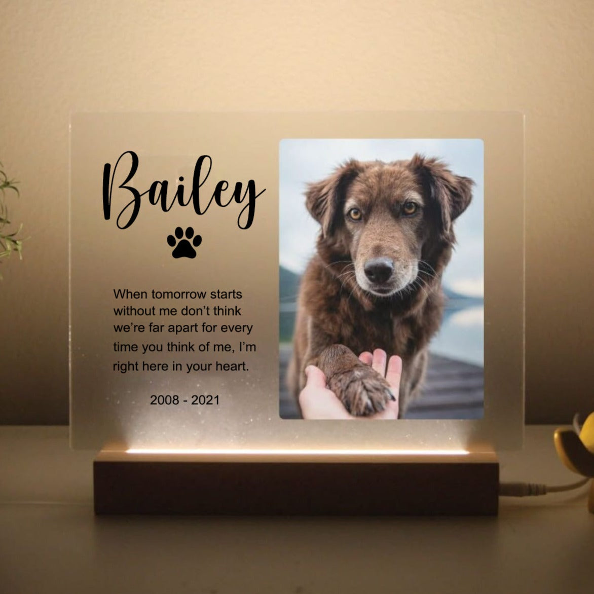 Pet Memorial Custom Photo LED Wooden Base, Pet Sympathy Gift, Personalized Gifts for Pet Loss 2_e7bc5bbd-0a71-4817-b055-8fa2a5cdbd47.jpg