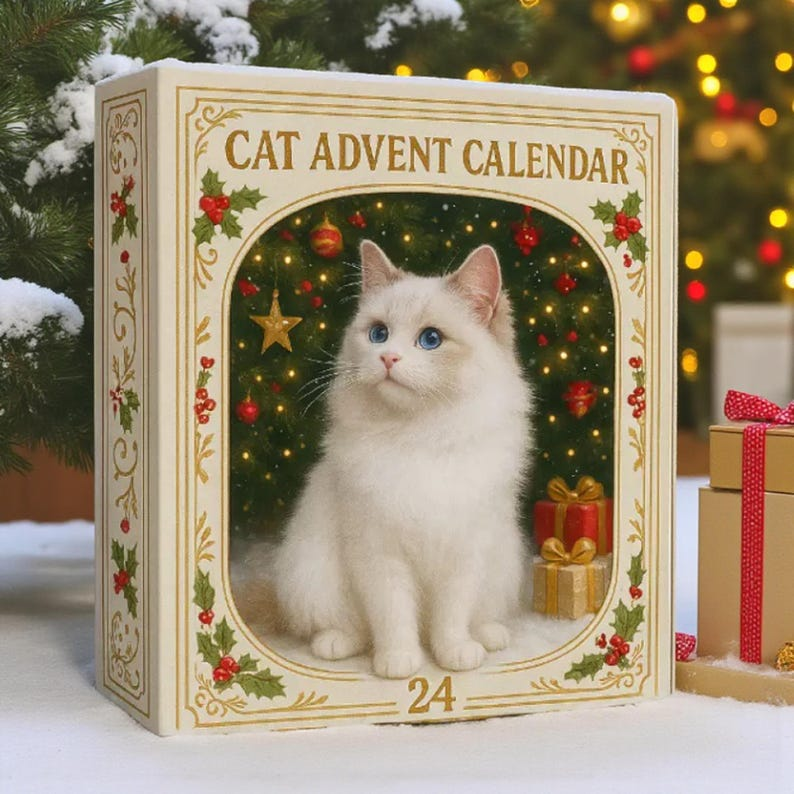 2D Acrylic Cat Advent Calendar 2025: 24 Mini Cat Figurines, Holiday Decor 34b90a87-bbdc-4086-9674-fc9b5355849d-t-i-xu-ng-10-.png