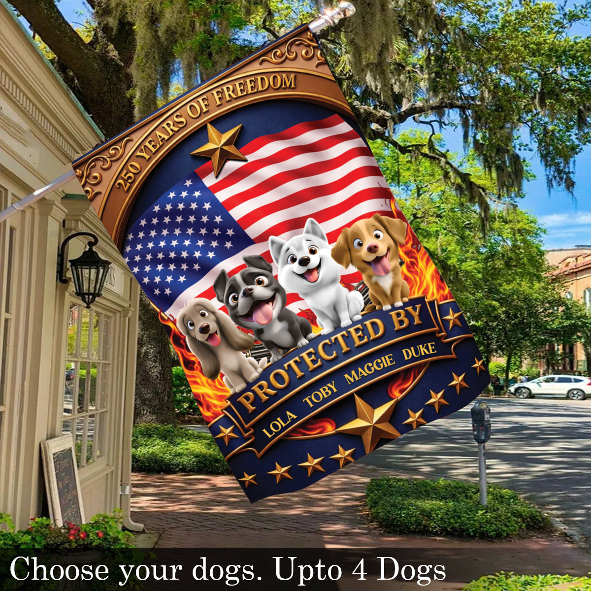 Proud Of 250th America Freedom - Personalized Custom Flag
