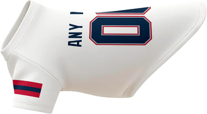 New England Dog T-Shirt Jersey Style Pet Clothes Custom Name and Number Gifts 51j1OUODYbL._AC_SL1500.jpg