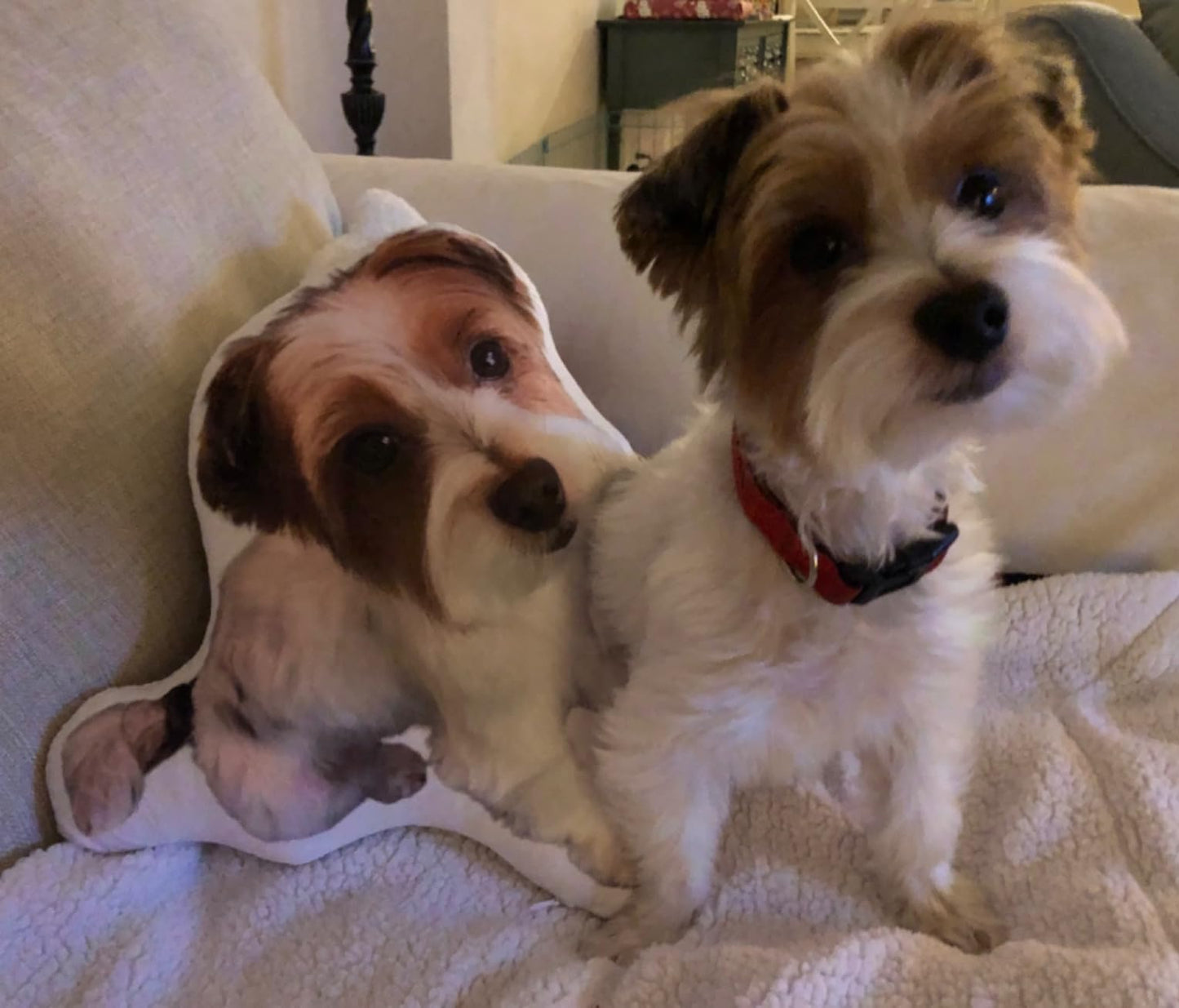 Dog Picture Pillow Custom Pet Pillow Dog Pillows Gift Custom 3D Pet Pillow from Photo | Personalized Dog/Cat Shaped Throw Pillow 61NYVxTD9TL.jpg