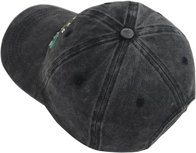 Limited Edition Baseball Cap for Men Women, Funny Retro Adjustable Embroidery Cotton Birthday Hat 715BPjeIXJL._AC_SX679.jpg?v=1742187692