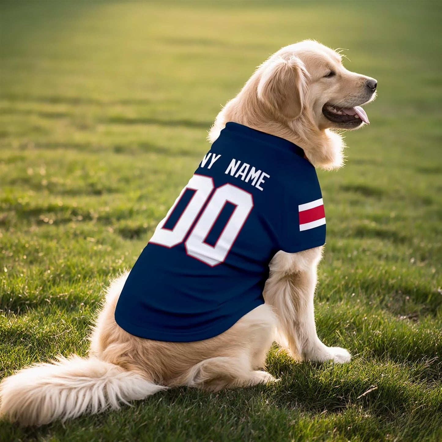 New England Dog T-Shirt Jersey Style Pet Clothes Custom Name and Number Gifts 719L-HCMm4L._AC_SL1500.jpg