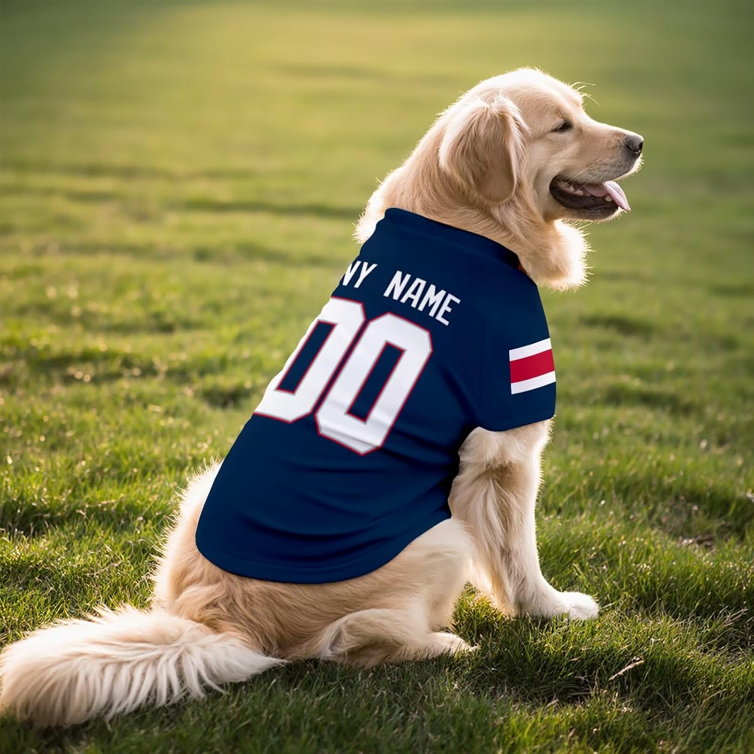 New England Dog T-Shirt Jersey Style Pet Clothes Custom Name and Number Gifts 719L-HCMm4L._AC_SL1500.jpg