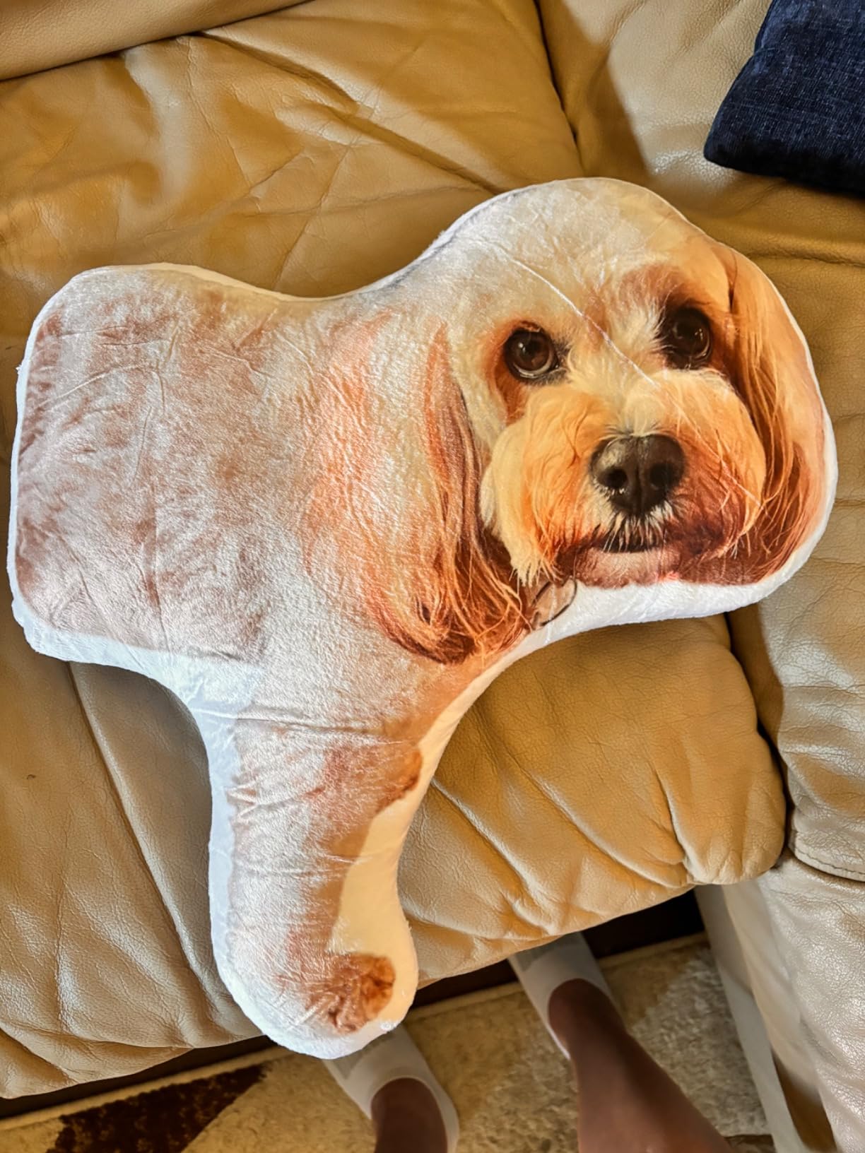 Dog Picture Pillow Custom Pet Pillow Dog Pillows Gift Custom 3D Pet Pillow from Photo | Personalized Dog/Cat Shaped Throw Pillow 71e8JfNiztL.jpg