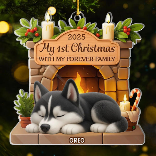 Custom First Christmas Acrylic Ornament - Personalized Christmas Birthday Gifts For Dog Lovers, Dog Dad And Mom - Pawsitively Loved This Christmas 71fcnBu1ssL._AC_SL1200__1.jpg