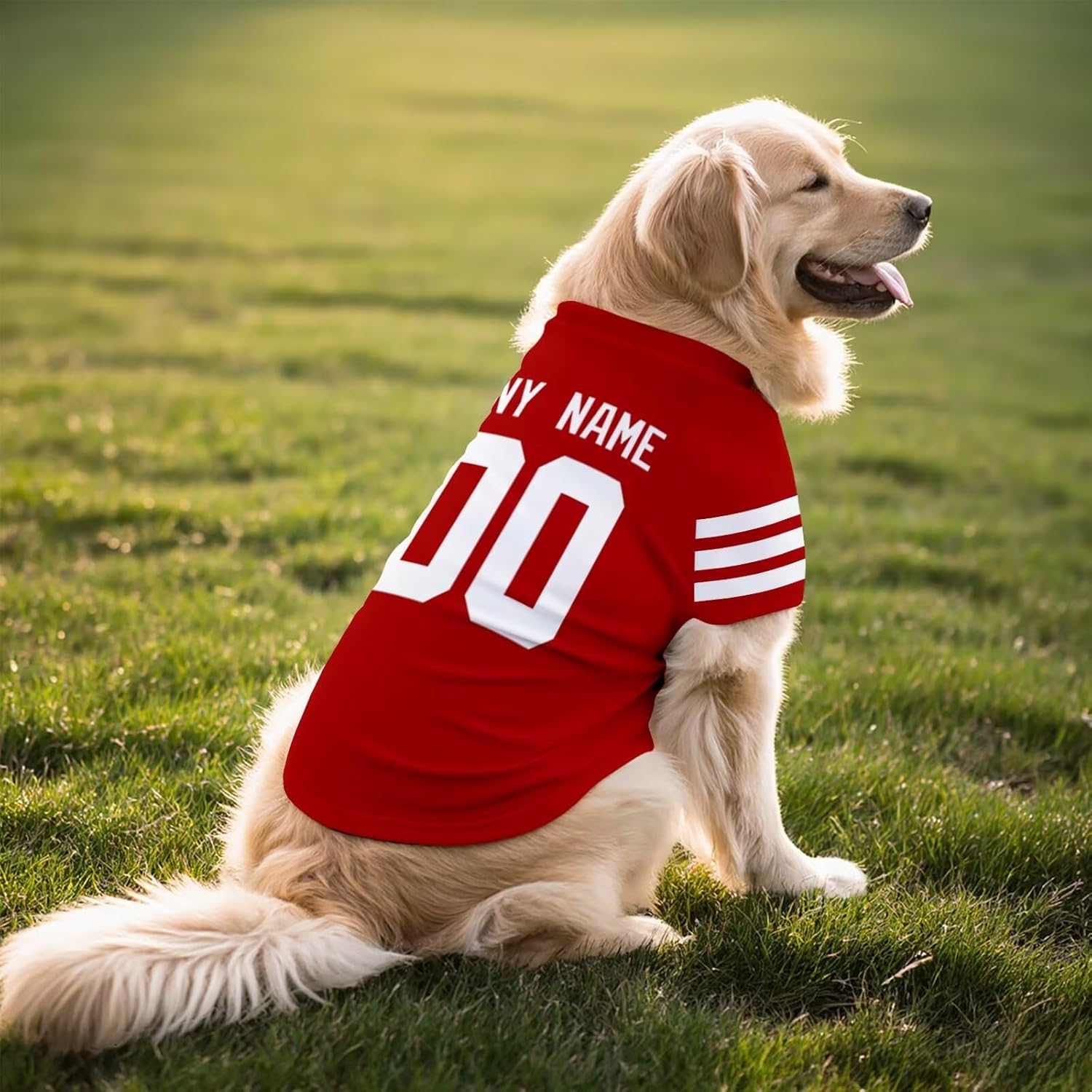 San Francisco Dog T-Shirt Jersey Style Pet Clothes Custom Name and Number Gifts 71hUubbPu7L._AC_SL1500.jpg