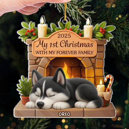 Custom First Christmas Acrylic Ornament - Personalized Christmas Birthday Gifts For Dog Lovers, Dog Dad And Mom - Pawsitively Loved This Christmas 71qxaGsgfFL._AC_SL1200.jpg