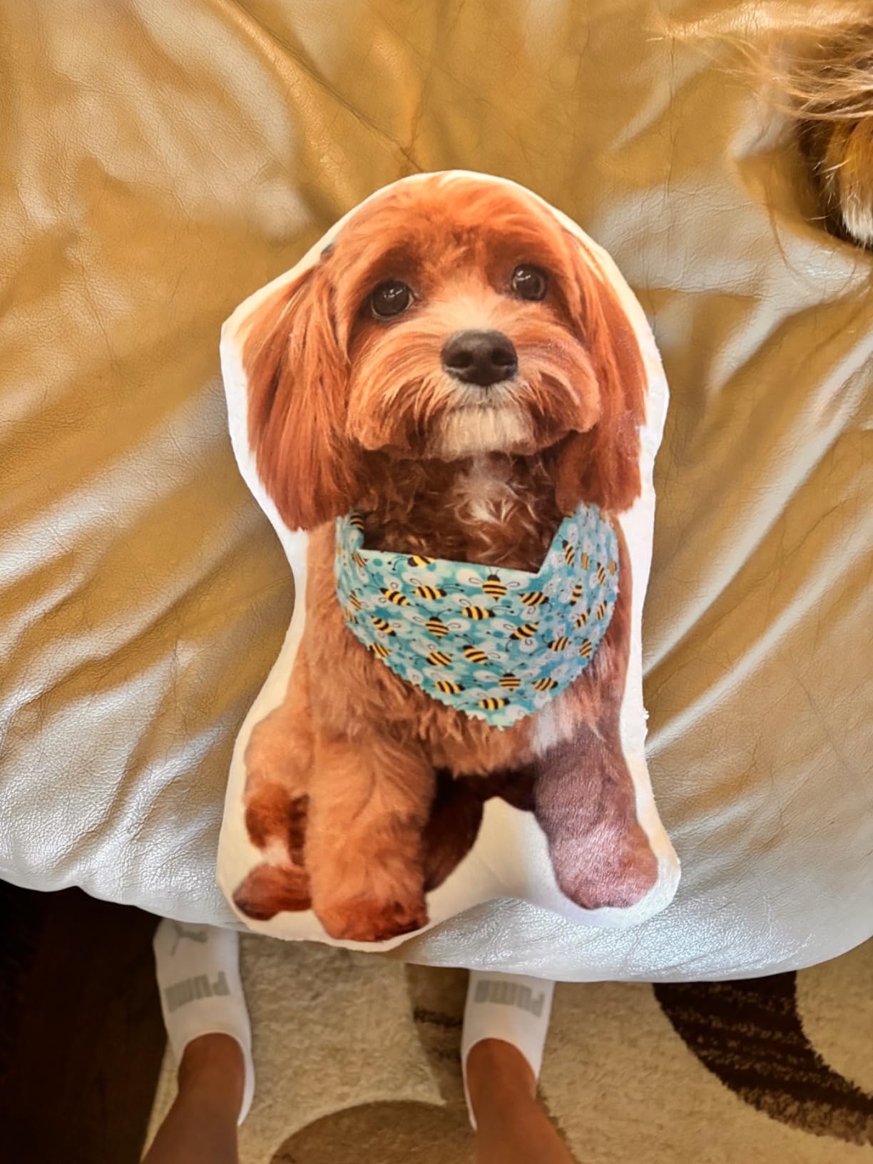 Dog Picture Pillow Custom Pet Pillow Dog Pillows Gift Custom 3D Pet Pillow from Photo | Personalized Dog/Cat Shaped Throw Pillow 71yiP4NTD9L.jpg