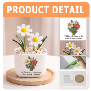 Seed Of Love - Personalized Glass Everlasting Flowers 8_91acf203-4d50-4137-9422-f1a13a45b6d5.png