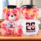 Class Of 2026 Personalized Graduation Teddy Bear