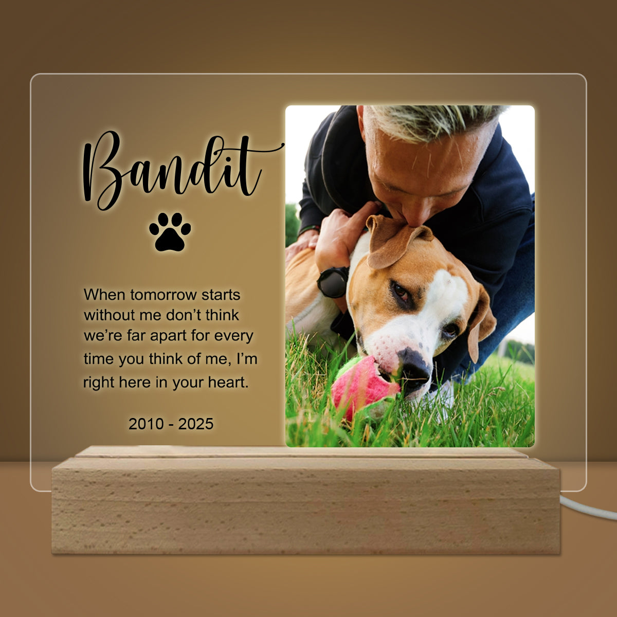 Pet Memorial Custom Photo LED Wooden Base, Pet Sympathy Gift, Personalized Gifts for Pet Loss PSL1711686369328956.jpg