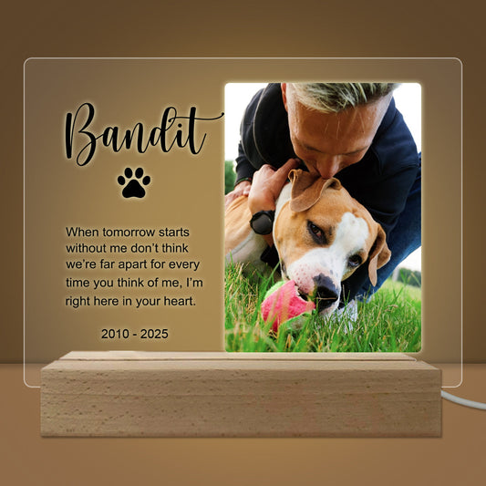 Pet Memorial Custom Photo LED Wooden Base, Pet Sympathy Gift, Personalized Gifts for Pet Loss PSL1711686369328956.jpg