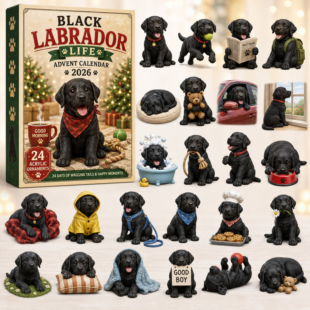 Black Labrador Life Advent Calendar 2026 - 24-Day Festive Countdown, Acrylic Charms Blind Box - Gift For Labrador Lovers d783b183-32a6-4670-999d-d05f39f6a075-labrador.jpg
