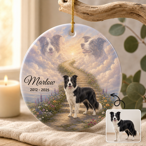 Custom Pet Loss Memorial Ornament, Dog Photo Name Date Acrylic hero-6a83feb10dbf182fbf803085.png