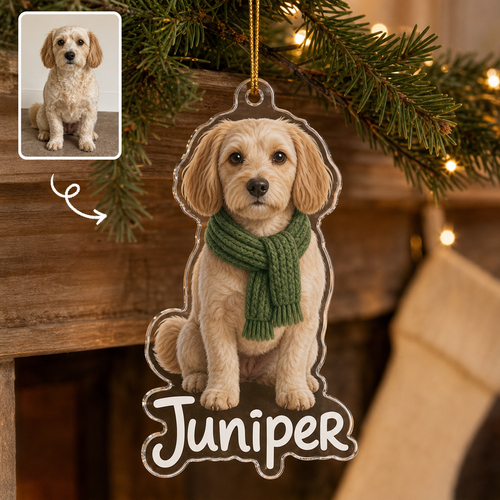 Custom Acrylic Pet Ornament from Photo – Personalized Dog Name Christmas Tree Decoration hero-6a86885d18f61dad45c2426f.png