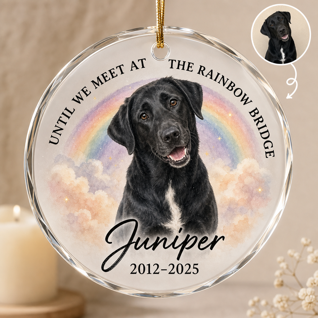 Until We Meet at the Rainbow Bridge – Personalized Photo Crystal Ornament – Memorial Gift hero-6a86adb67c6b5c9083071640.png