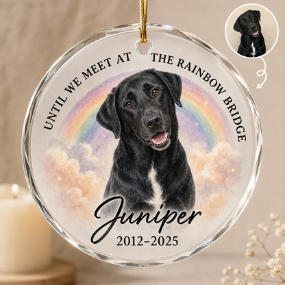 Until We Meet at the Rainbow Bridge – Personalized Photo Crystal Ornament – Memorial Gift hero-6a86adb67c6b5c9083071640.png