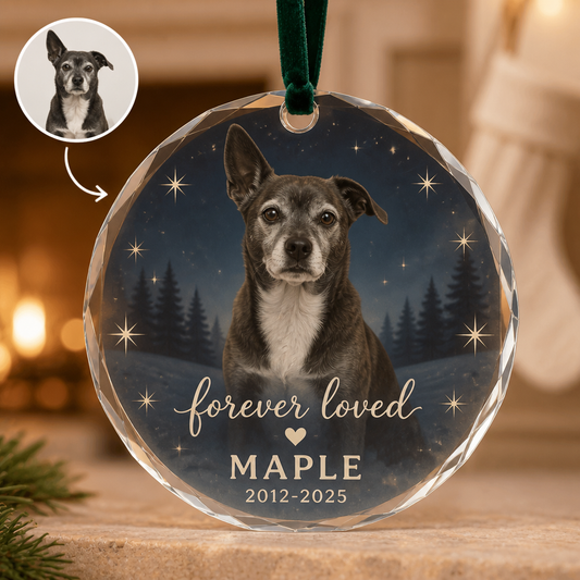 forever loved MAPLE 2012-2025 – Personalized Photo Ornament – Christmas Gift hero-6a86bd38db46bc6fe881af00.png