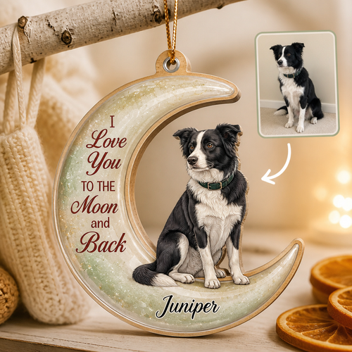 Custom Pet Photo Moon Ornament with Name – Personalized Dog Memorial Christmas Keepsake hero-6a8d0739fc3bfdc4260bc5f4.png