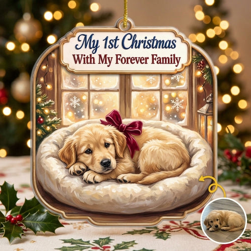 My 1st Christmas – Personalized Photo Personalized 3D Ornament – Christmas Gift hero-6a98d9c925920d94b7eca2e4.jpg