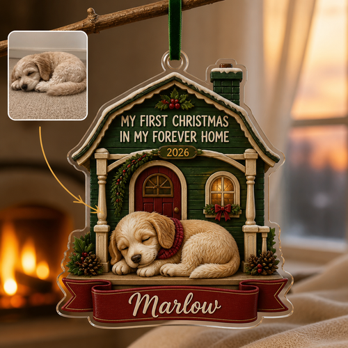 Personalized Photo Personalized 3D Ornament – Christmas Gift hero-6a98da3334e14064fcd26d1b.png