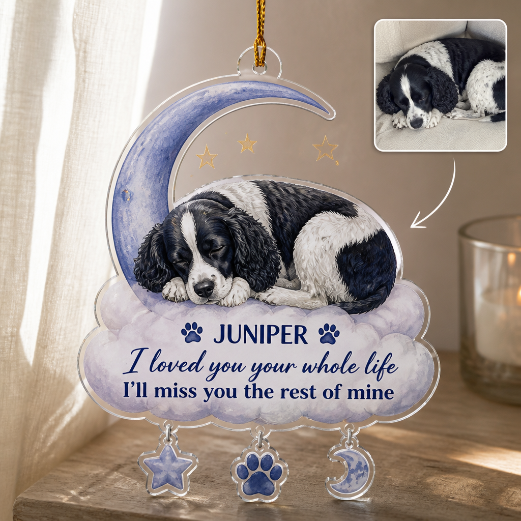 I loved you your whole life – Personalized Photo Personalized 3D Ornament – Memorial Gift hero-6a9a4c1df577b16775fa66a7.png