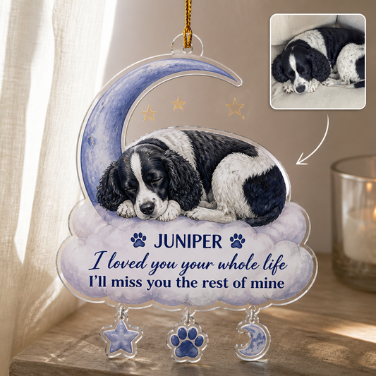 I loved you your whole life – Personalized Photo Personalized 3D Ornament – Memorial Gift hero-6a9a4c1df577b16775fa66a7.png