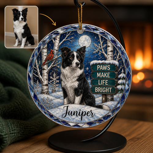 Paws Make Life Bright – Personalized Photo Ornament – Christmas Gift hero-6a9f7f496891185e947fbb3d.png