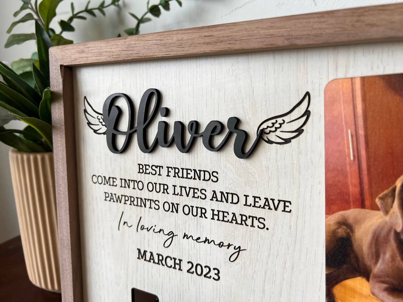 Memorial Pet Collar Sign, Loss of Dog, Puppy Memorial Wooden Picture Frame , Dog Memorial Gifts, Pet Loss Gifts, Pet Sympathy Gift il_1588xN.5303301069_8hmz.jpg