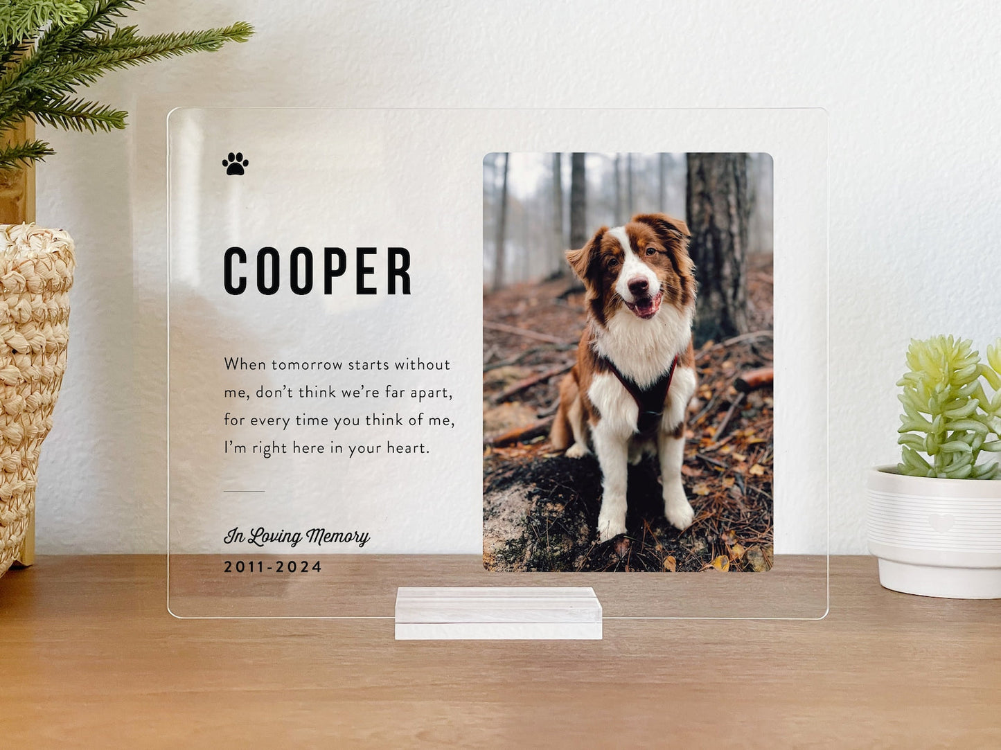 Pet Memorial Gift Personalized Acrylic Plaque, Pet Memorial Keepsake, Pet Bereavement Gift, Dog Cat Loss Sympathy Gift il_1588xN.5857847552_q1gv.jpg