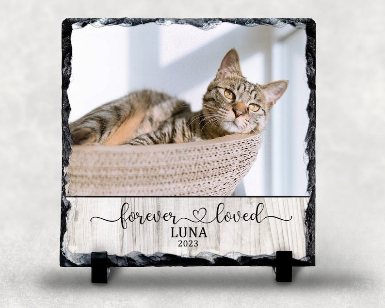 Forever Loved PERSONALIZED Photo Rock Slate, Pet Loss Gift, Dog Memorial Gift, Pet Sympathy Gift, Cat Bereavement Photo Gift, Loss of Pet, Photo Plaque il_794xN.4696503257_kam3_1.jpg