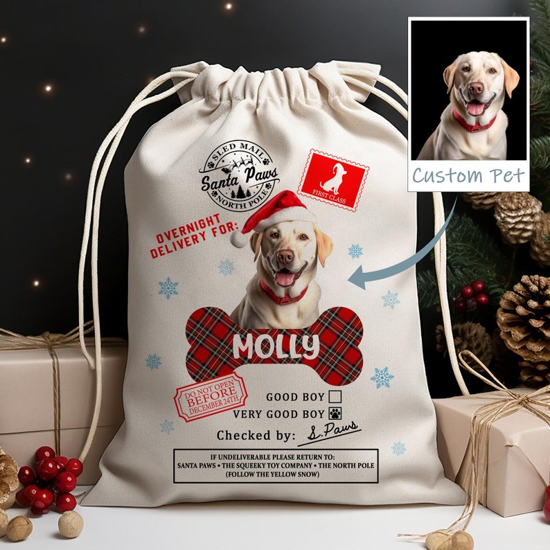 Personalized Photo Christmas Santa Sack For Christmas, Christmas Gifts Bags For Pets, Christmas Present Sack, Christmas Sack for Dogs Cats il_794xN.5452087648_56qa.jpg
