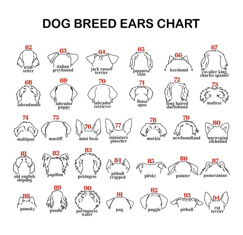 Personalized Dog Ear Memorial Gift Planter Forever Loved Dog Sympathy Gift Pet Memorial Keepsake il_794xN.5840393340_4f07.jpg