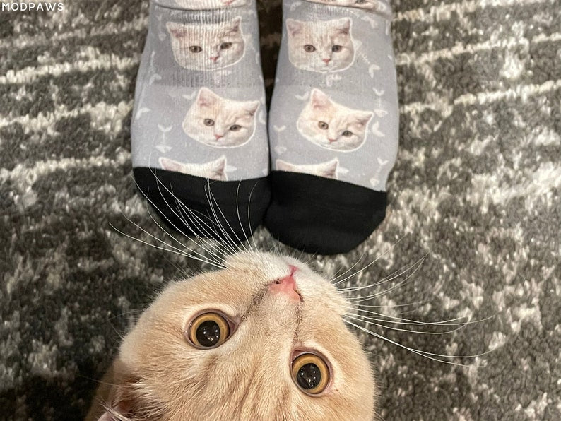 Custom Pet Photo Socks Personalized Pet Socks Custom Dog Socks Custom Cat Socks Fathers Day Gifts Cat Dad Gift Dog Dad Gifts Dog Face Socks il_794xN.5873813112_j8si.jpg
