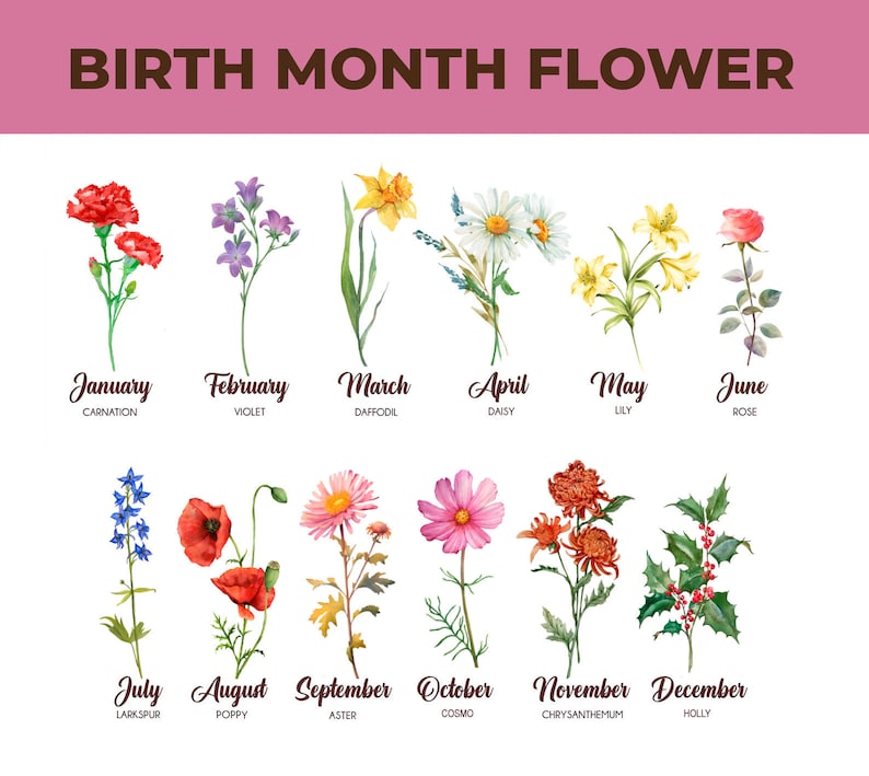 Personalized Birth Month Ceramic Flower Pot, Unique Mother's Day Gift for Her, Gift for Grandma, Mom, Wife, Indoor/Outdoor Potter Plant Pot il_794xN.5880798132_h1q8.jpg
