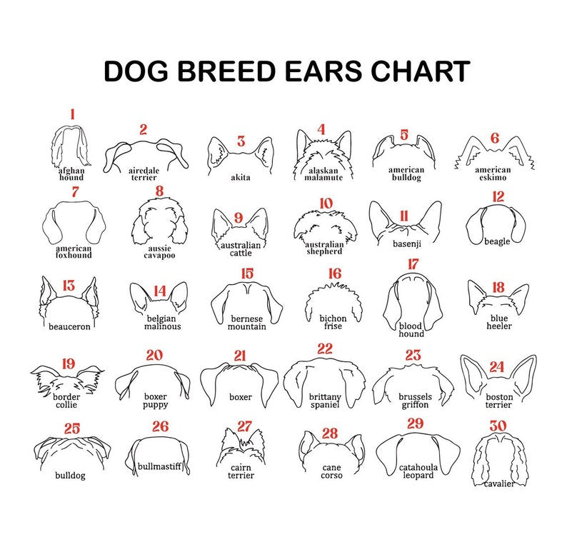 Personalized Dog Ear Memorial Gift Planter Forever Loved Dog Sympathy Gift Pet Memorial Keepsake il_794xN.5888489815_7fc9.jpg