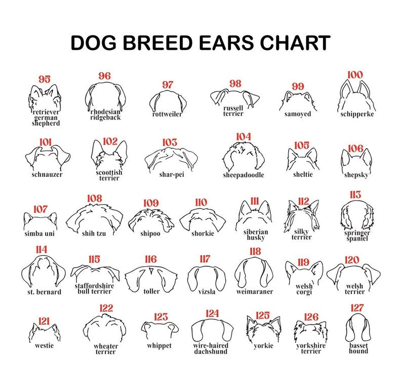 Personalized Dog Ear Memorial Gift Planter Forever Loved Dog Sympathy Gift Pet Memorial Keepsake il_794xN.5888489841_5le7.jpg