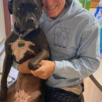 Custom Embroidered Dog Dad Sweatshirt with Portrait from Photo, Embroidered Photo Sweatshirt, Outline Embroidered Sweatshirt, Portrait Sweatshirt il_794xN.6084196634_7ay5_6377f6be-5ba4-46f4-954b-b8f296f67a01.jpg