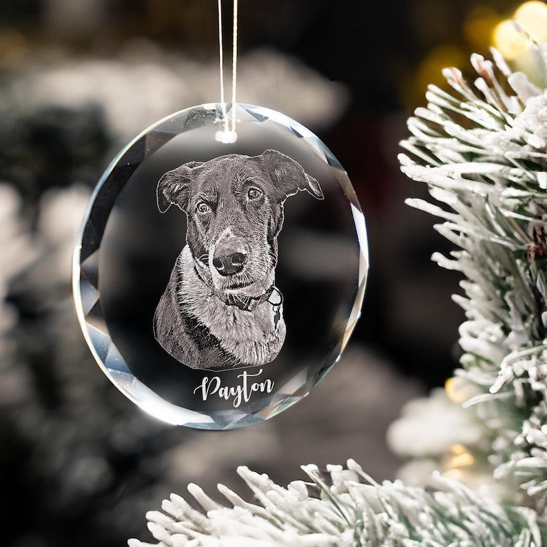 Personalized Pet Glass Ornament Engraved - Etched Your Dog Photo on Crystal Ornament il_794xN.6360392925_aarh.jpg