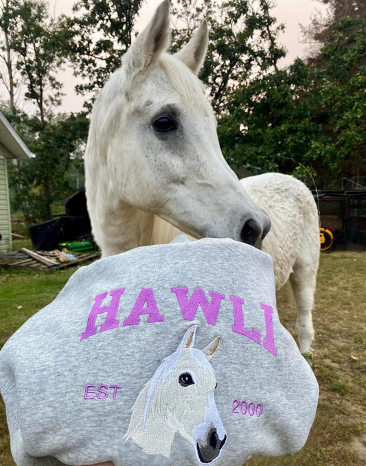 Custom Embroidered Horse Sweatshirt Custom Embroidered Varsity Pet From Your Photo Sweatshirt,Hoodie with Dog Name,Dog Owner Gift il_794xN.6437223567_l5rg.jpg