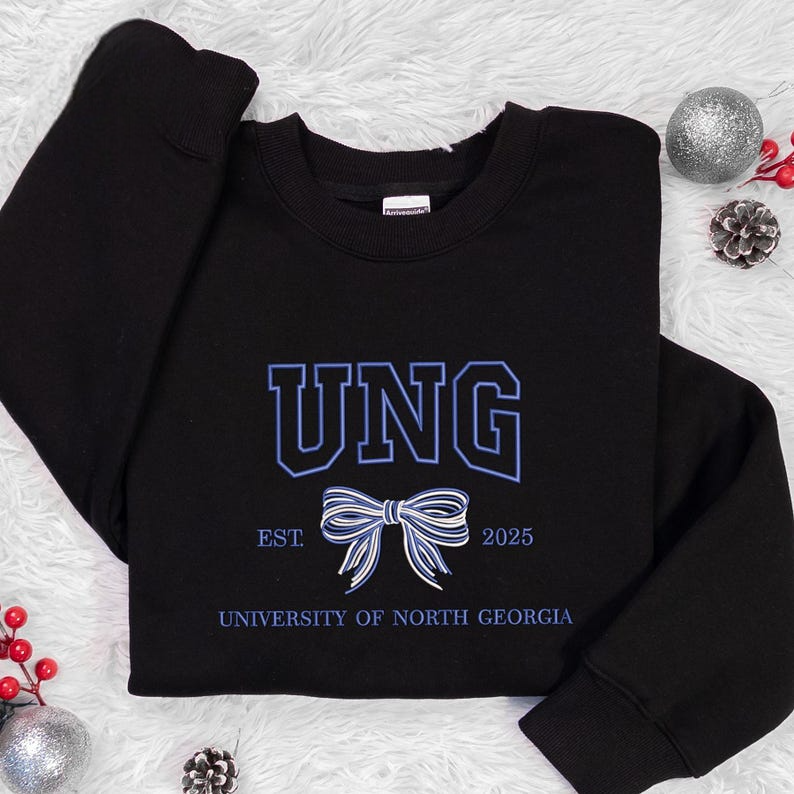 Custom College Embroidered, College Hoodie with Bow, Personalized School Colors Sweatshirt, Sorority Custom Sweaters, Back to College Gift