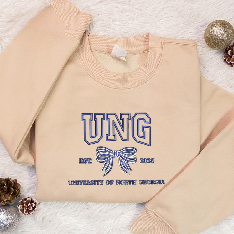 Custom College Embroidered, College Hoodie with Bow, Personalized School Colors Sweatshirt, Sorority Custom Sweaters, Back to College Gift