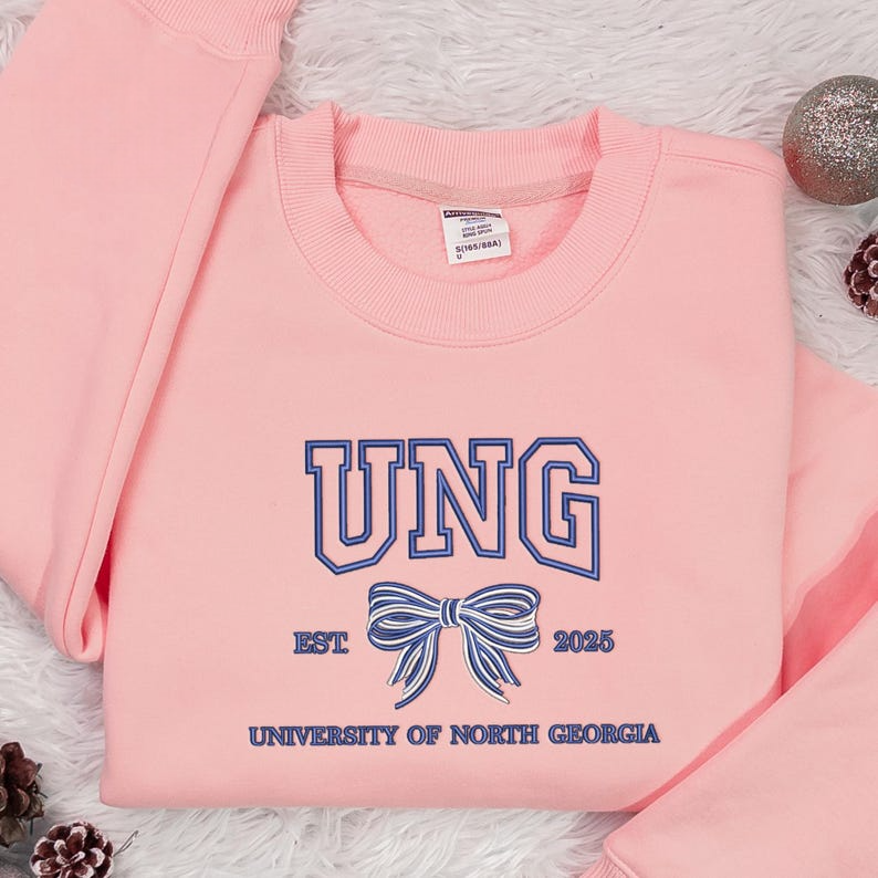 Custom College Embroidered, College Hoodie with Bow, Personalized School Colors Sweatshirt, Sorority Custom Sweaters, Back to College Gift