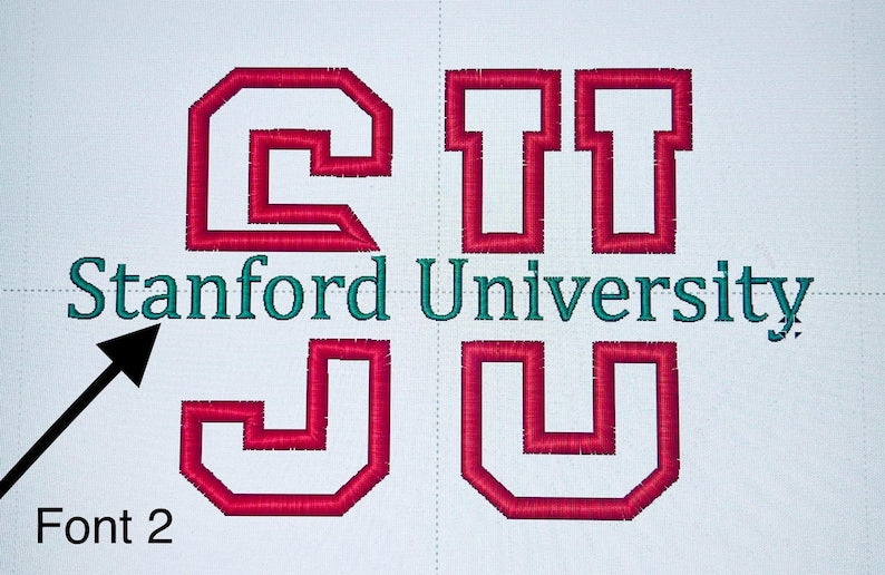 Embroidered Custom College Sweatshirt,School Spirit Personalized Shirt, College Apparel, Graduation Gift, Back To School, University Hoodie