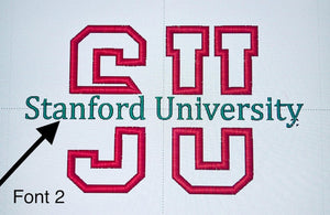 Embroidered Custom College Sweatshirt,School Spirit Personalized Shirt, College Apparel, Graduation Gift, Back To School, University Hoodie